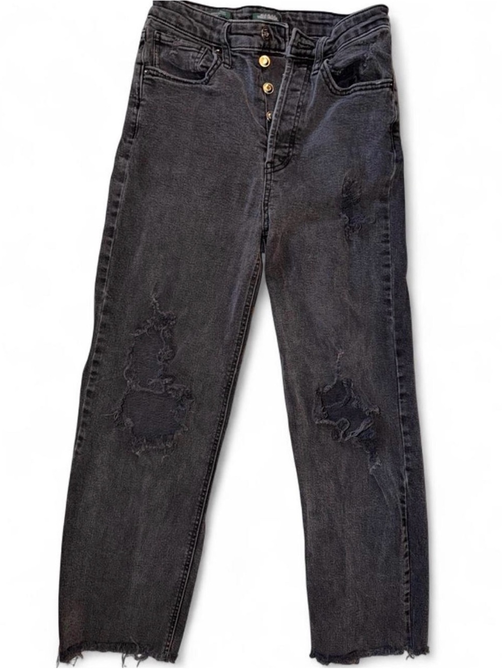 wild fable Black Distressed Straight Leg Jeans